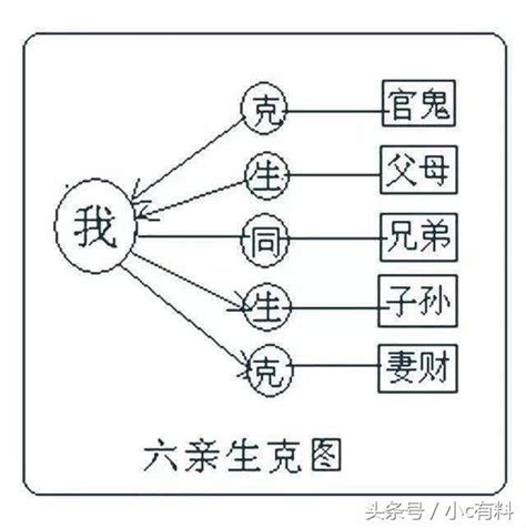 六親相生相剋|易經八卦中，六親是什麼？卦成之後，我們如何分辨？。